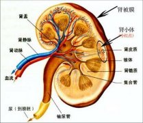 ���裺���巢���������ź�